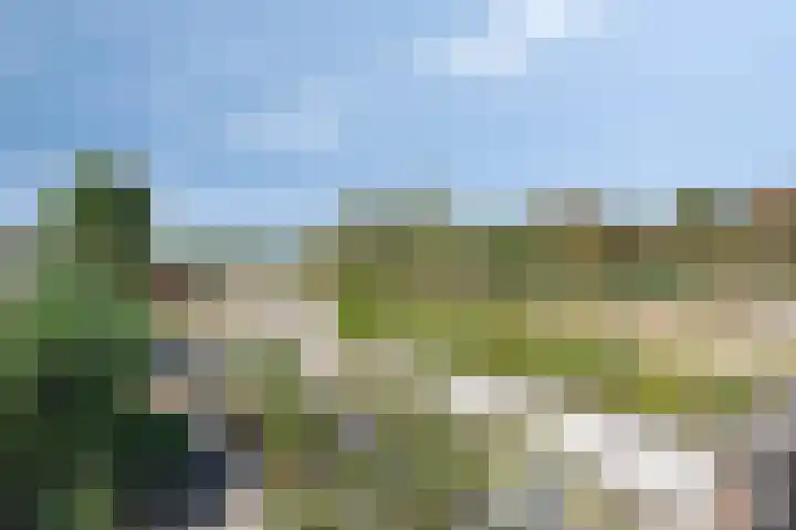 Aan de Laadhaven 2 Buchten thumbnail 66