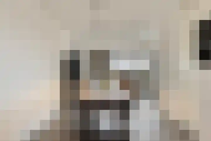 Aan de Leide 6 Schalkhaar thumbnail 10