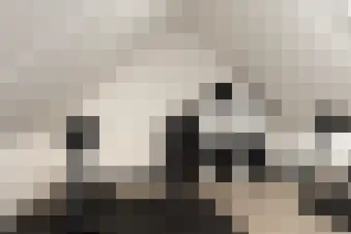 Aan de Leide 6 Schalkhaar thumbnail 20