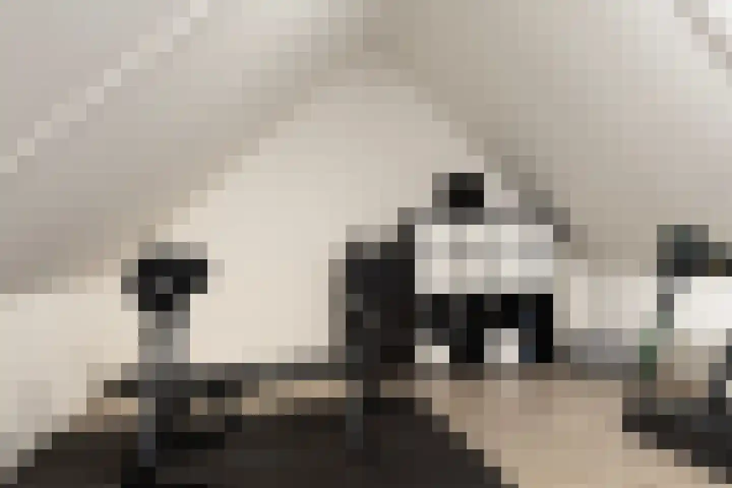 Aan de Leide 6 Schalkhaar thumbnail 20
