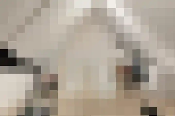 Aan de Leide 6 Schalkhaar thumbnail 21