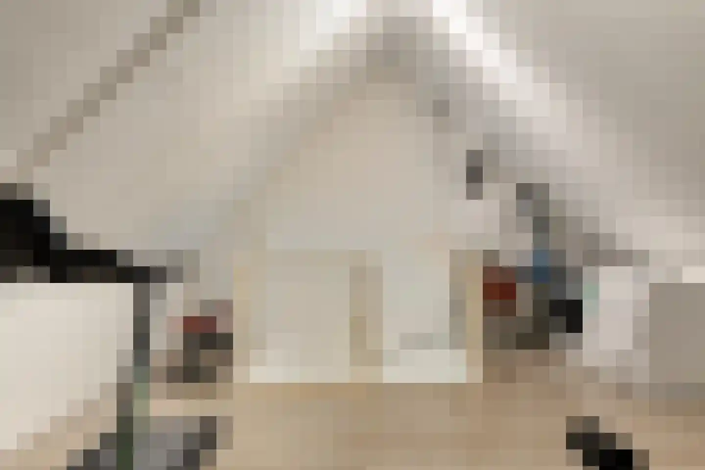 Aan de Leide 6 Schalkhaar thumbnail 21