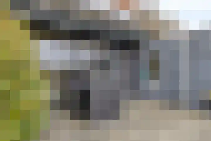 Aan de Leide 6 Schalkhaar thumbnail 23