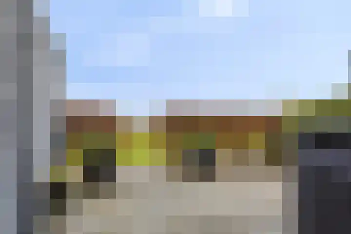 Aan de Leide 6 Schalkhaar thumbnail 24