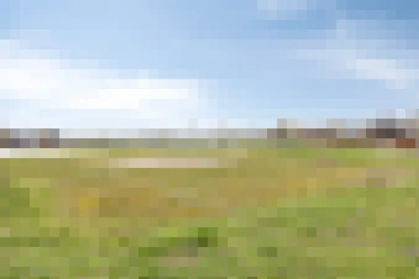 Aan de Leide 6 Schalkhaar thumbnail 25