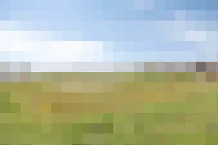 Aan de Leide 6 Schalkhaar thumbnail 25