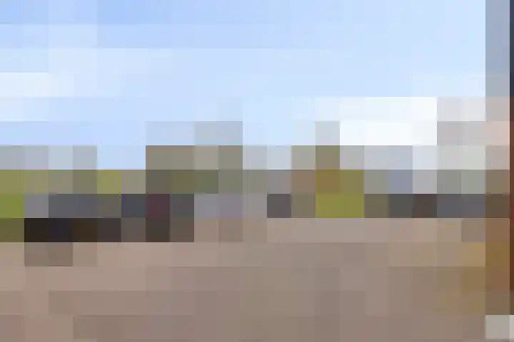Aan de Leide 6 Schalkhaar thumbnail 31