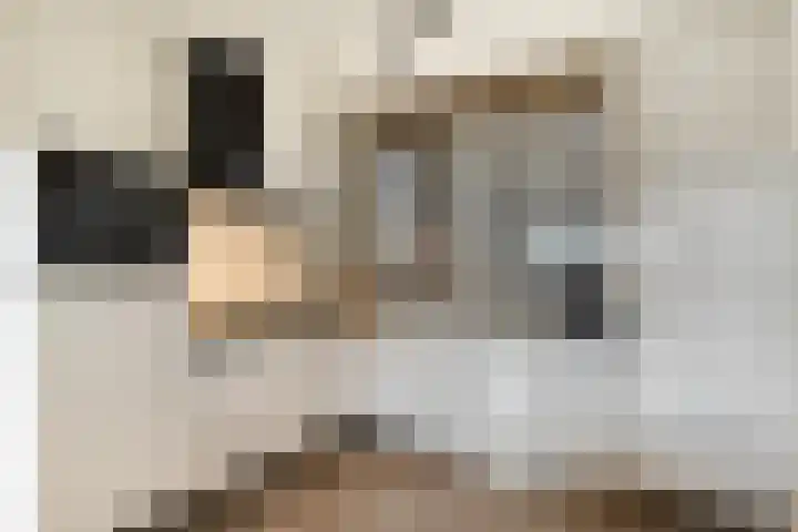 Aan de Leide 6 Schalkhaar thumbnail 7