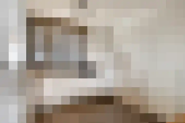 Aan de Leide 6 Schalkhaar thumbnail 8
