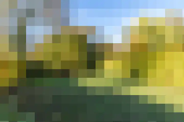 Aan de Leimkoel 7 Valkenburg thumbnail 34