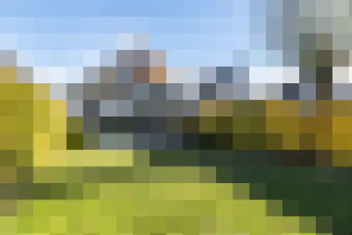Aan de Leimkoel 7 Valkenburg thumbnail 36