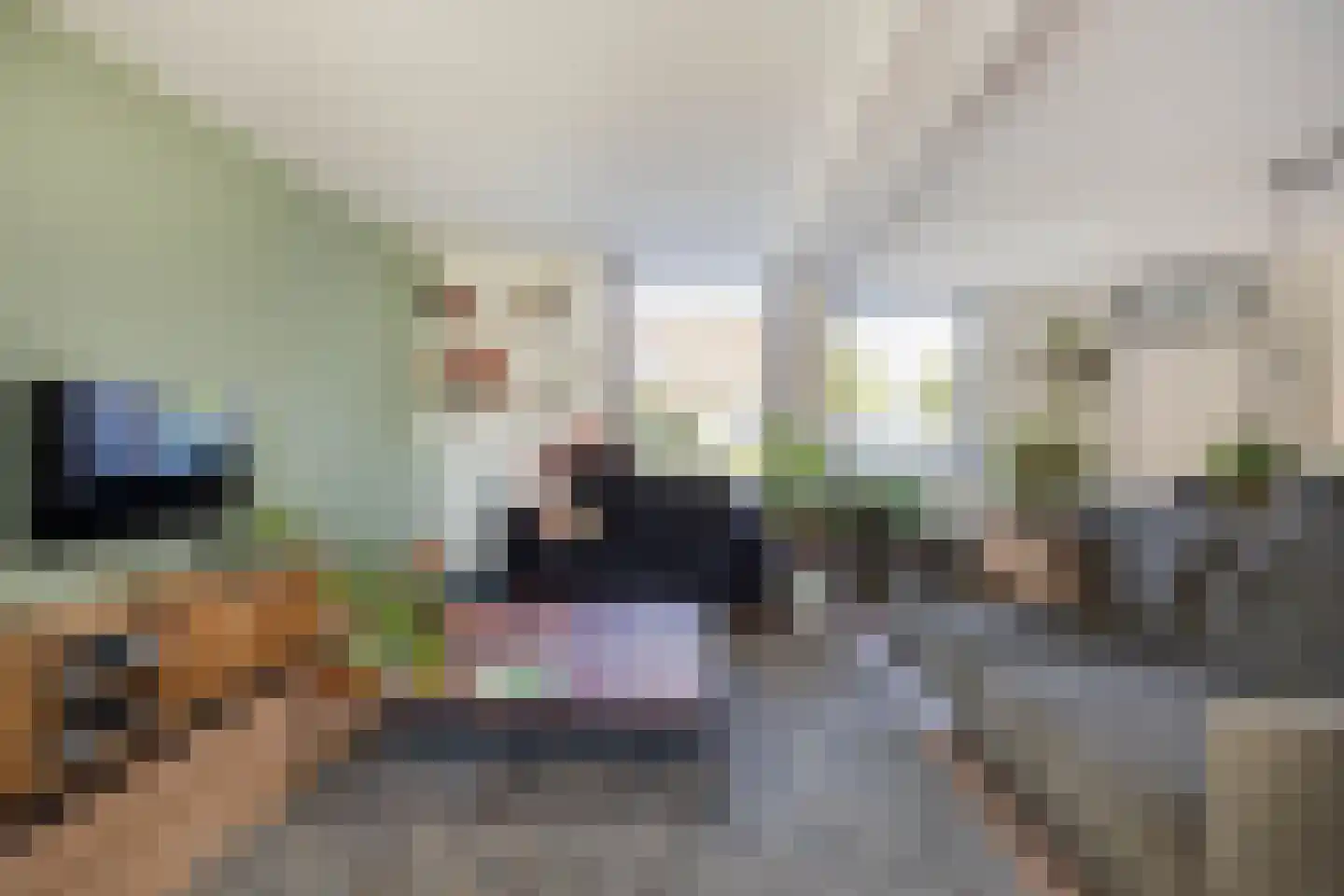 Aan de Linde 11 Nieuwstadt thumbnail 15