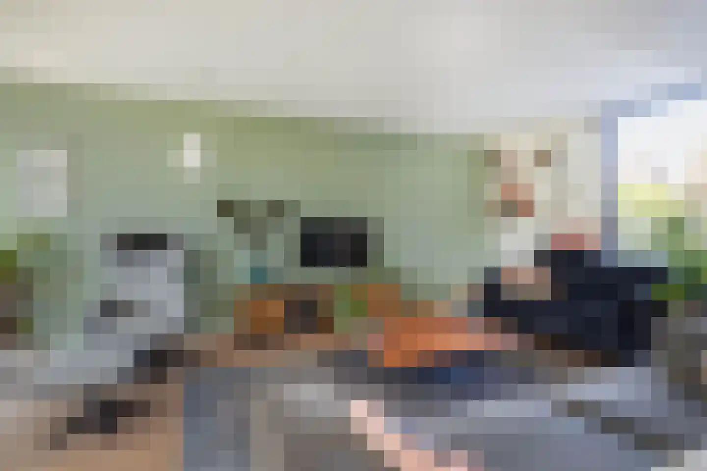 Aan de Linde 11 Nieuwstadt thumbnail 16