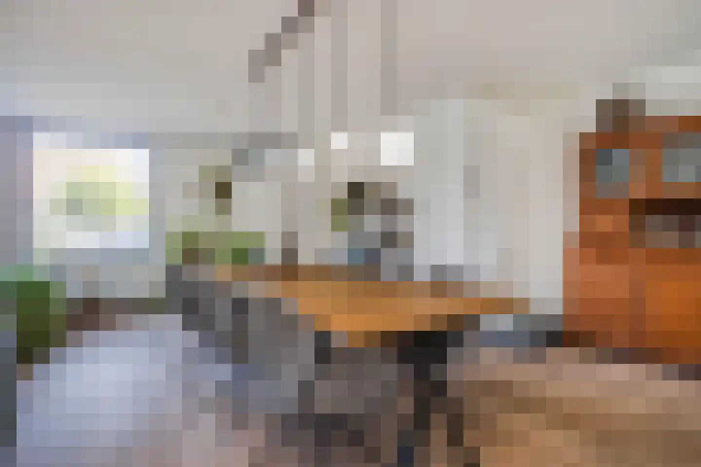 Aan de Linde 11 Nieuwstadt thumbnail 19