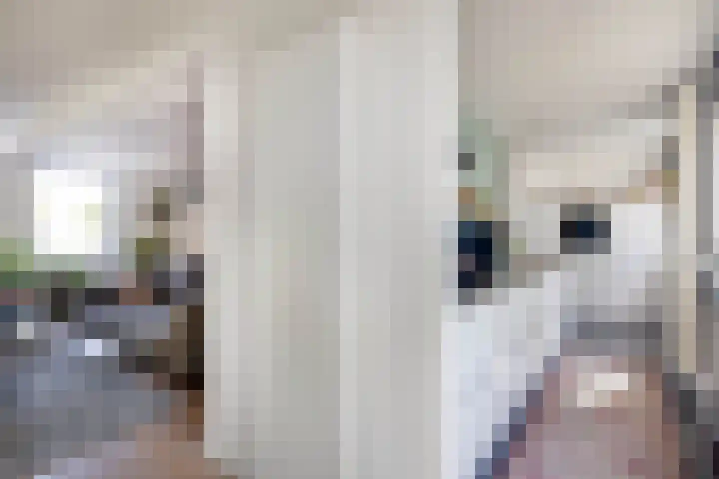 Aan de Linde 11 Nieuwstadt thumbnail 22