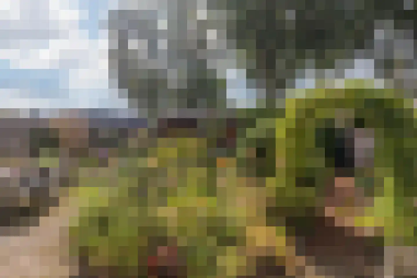 Aan de Linde 11 Nieuwstadt thumbnail 34
