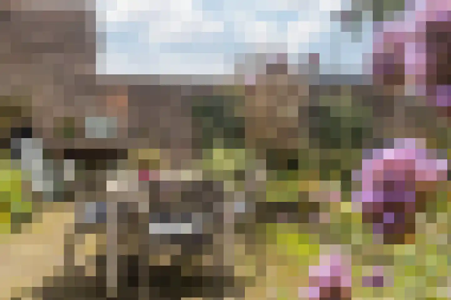 Aan de Linde 11 Nieuwstadt thumbnail 35