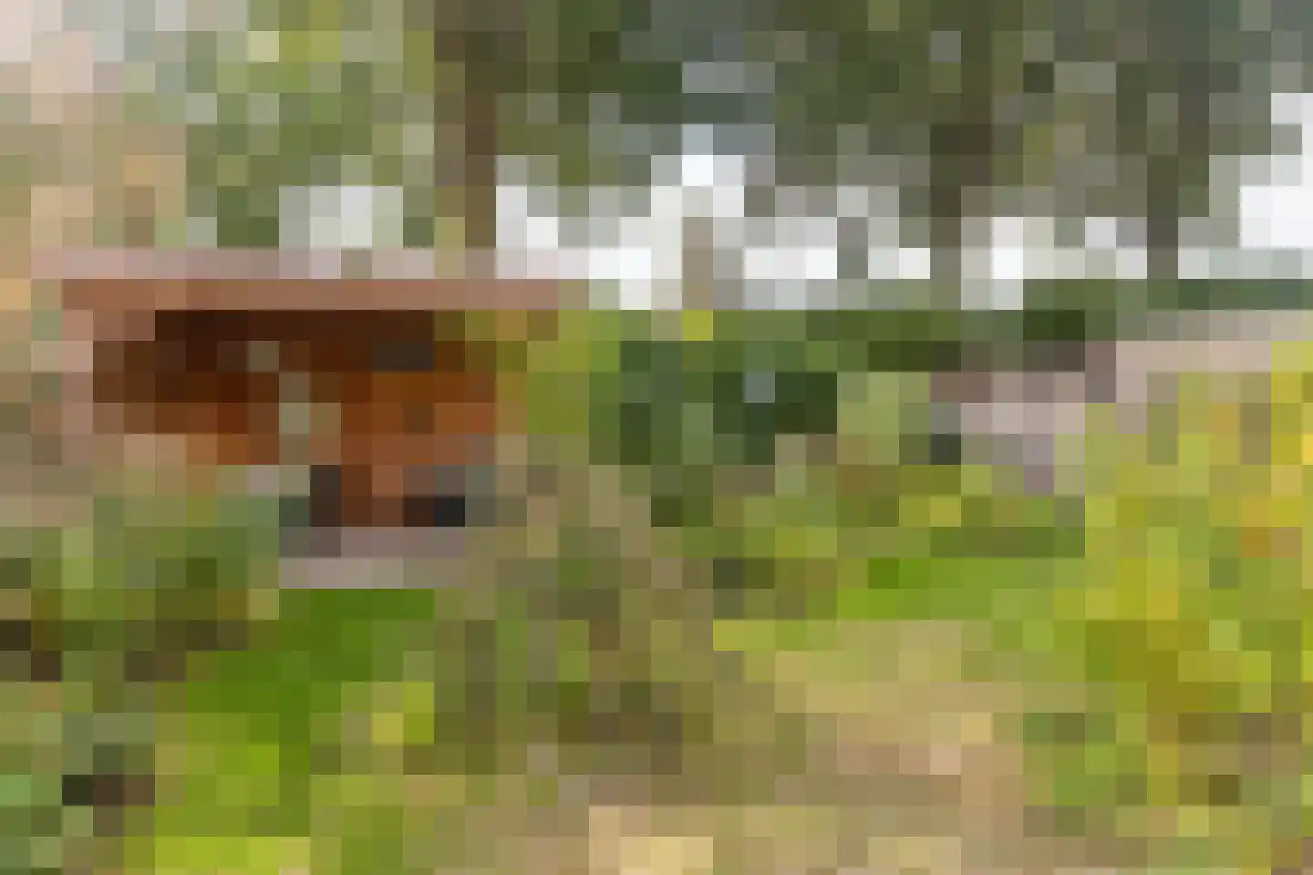 Aan de Linde 11 Nieuwstadt thumbnail 36