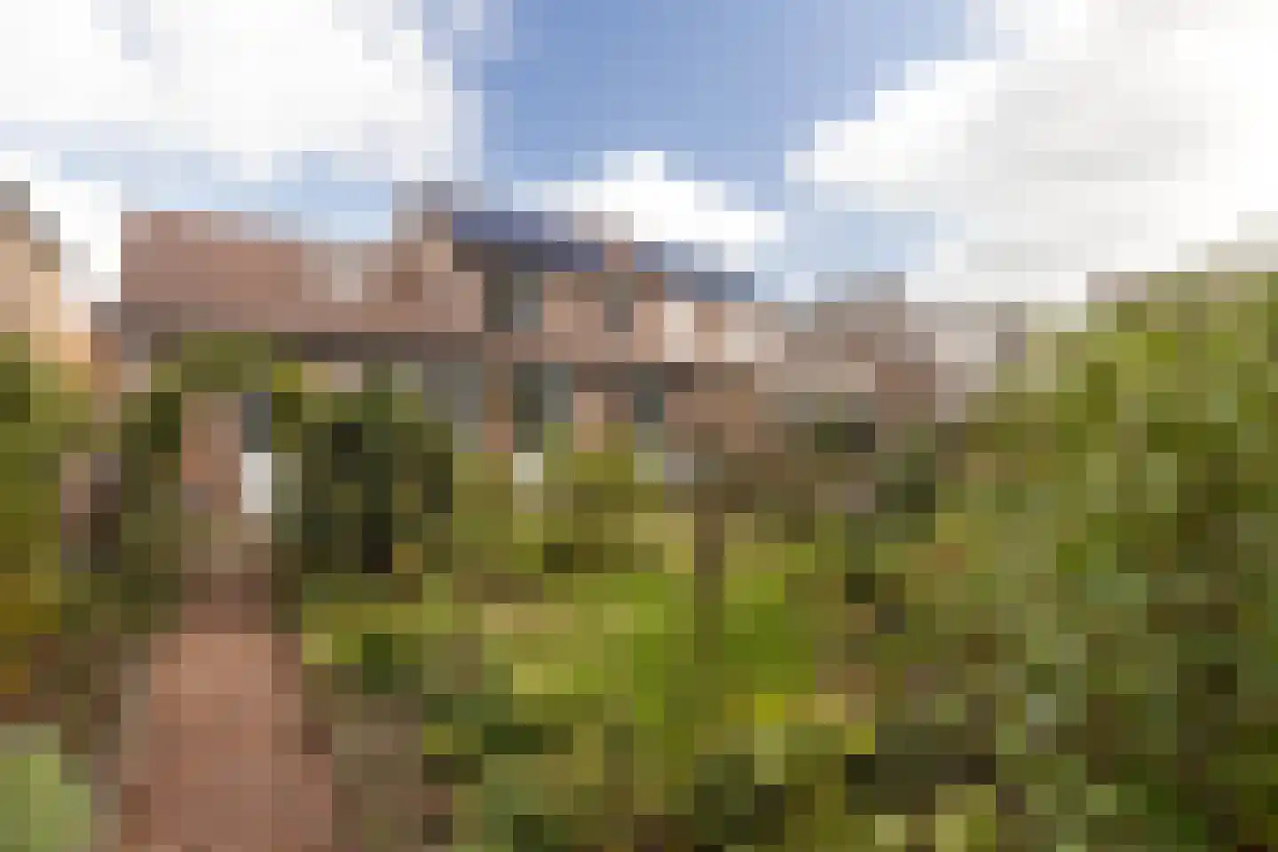 Aan de Linde 11 Nieuwstadt thumbnail 38