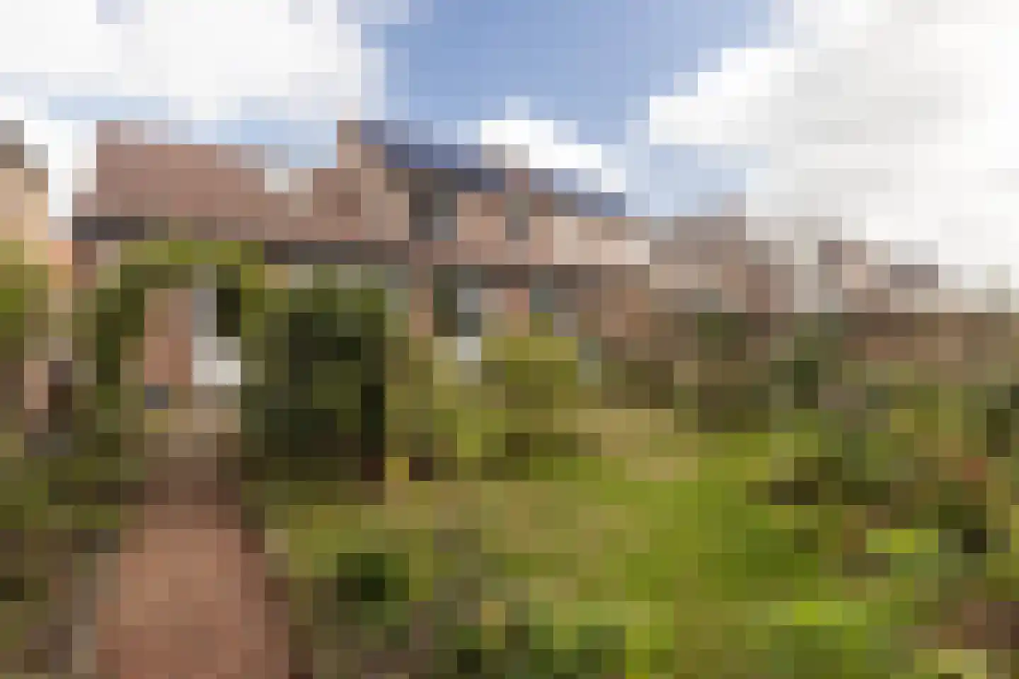 Aan de Linde 11 Nieuwstadt thumbnail 39