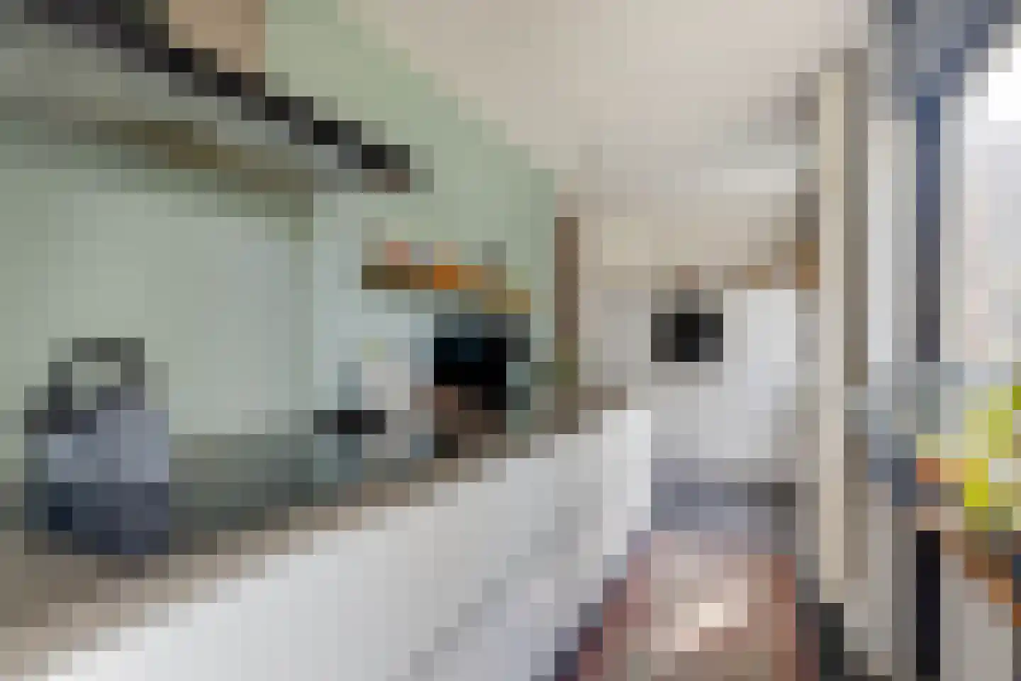 Aan de Linde 11 Nieuwstadt thumbnail 4