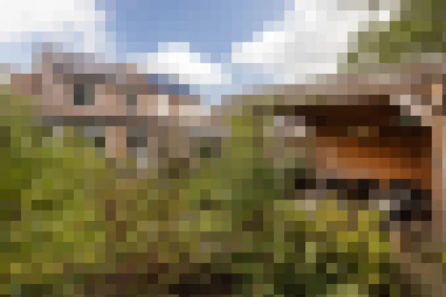 Aan de Linde 11 Nieuwstadt thumbnail 40