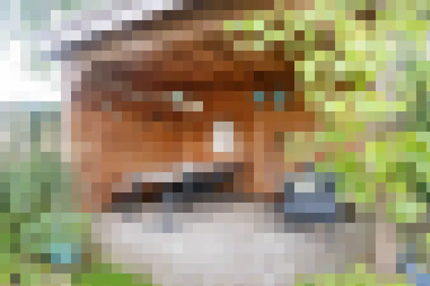 Aan de Linde 11 Nieuwstadt thumbnail 41