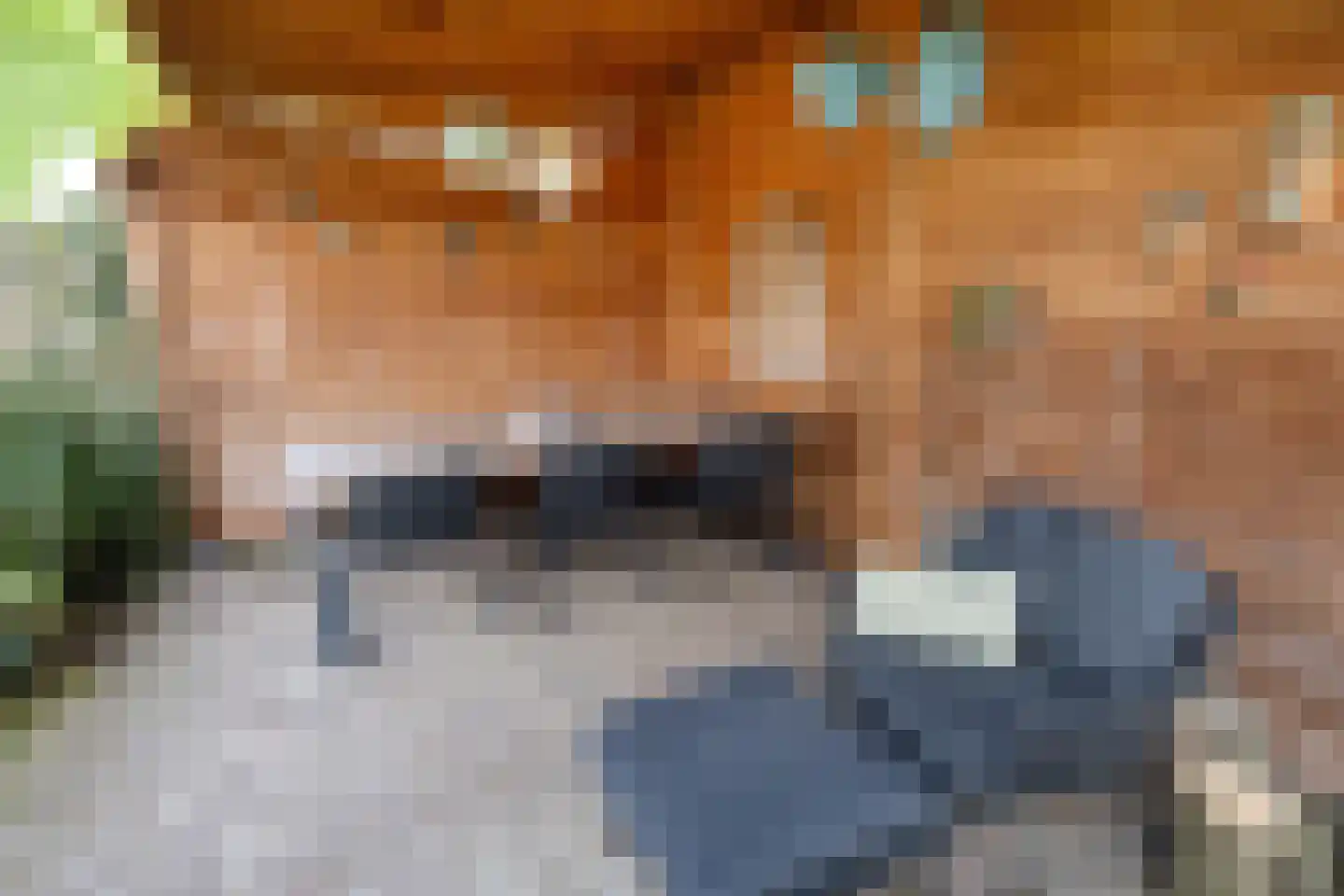 Aan de Linde 11 Nieuwstadt thumbnail 42