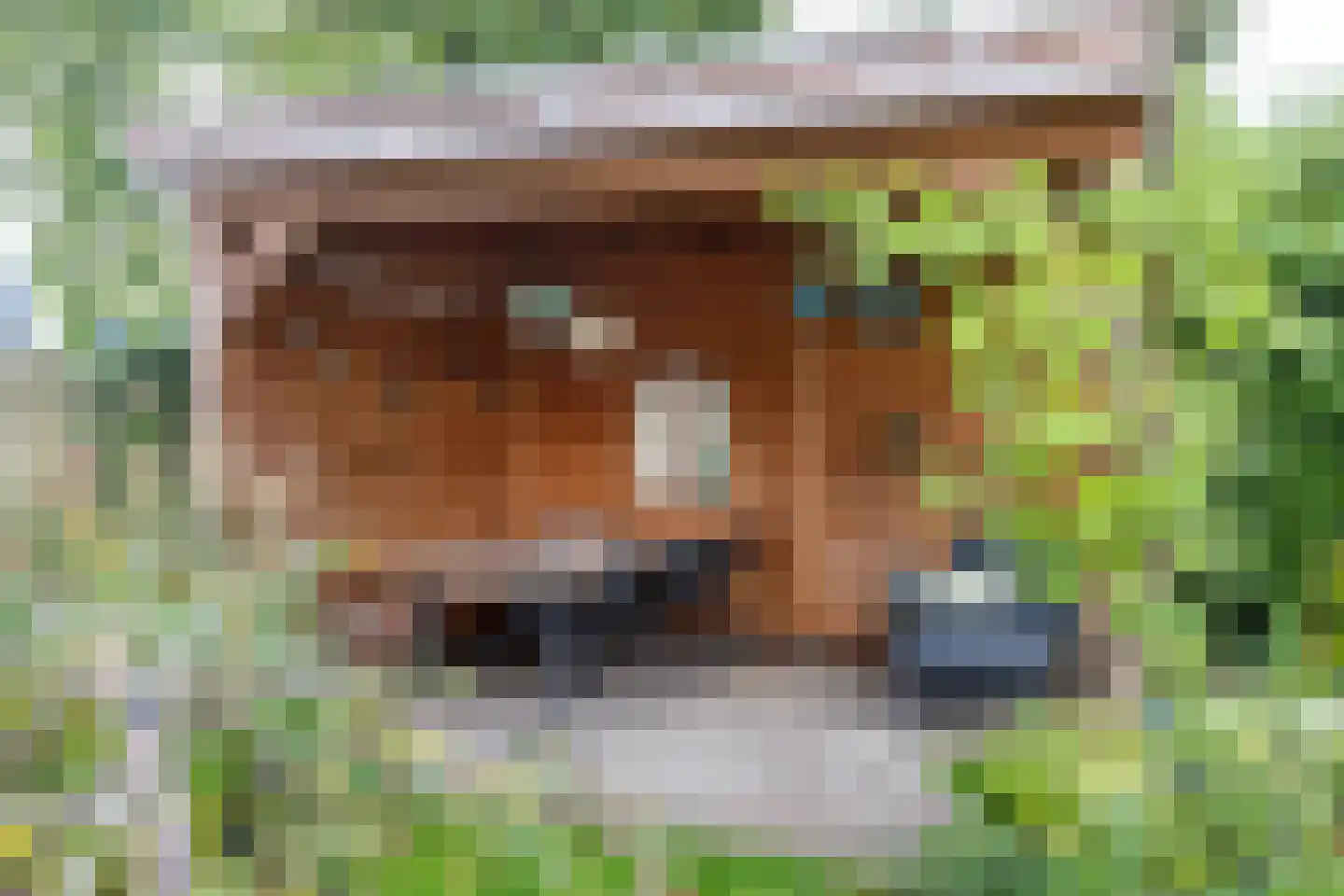 Aan de Linde 11 Nieuwstadt thumbnail 43