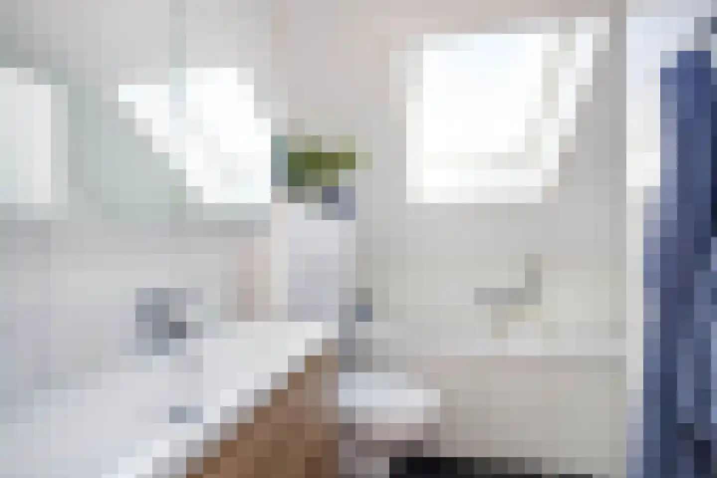 Aan de Linde 11 Nieuwstadt thumbnail 6