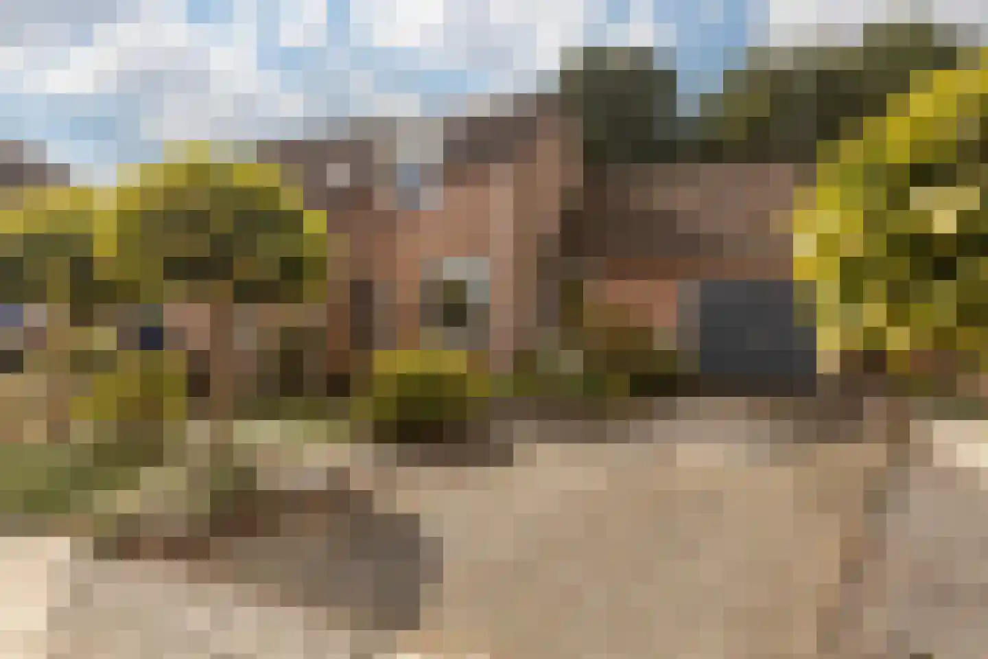 Aan de Linde 11 Nieuwstadt thumbnail 9