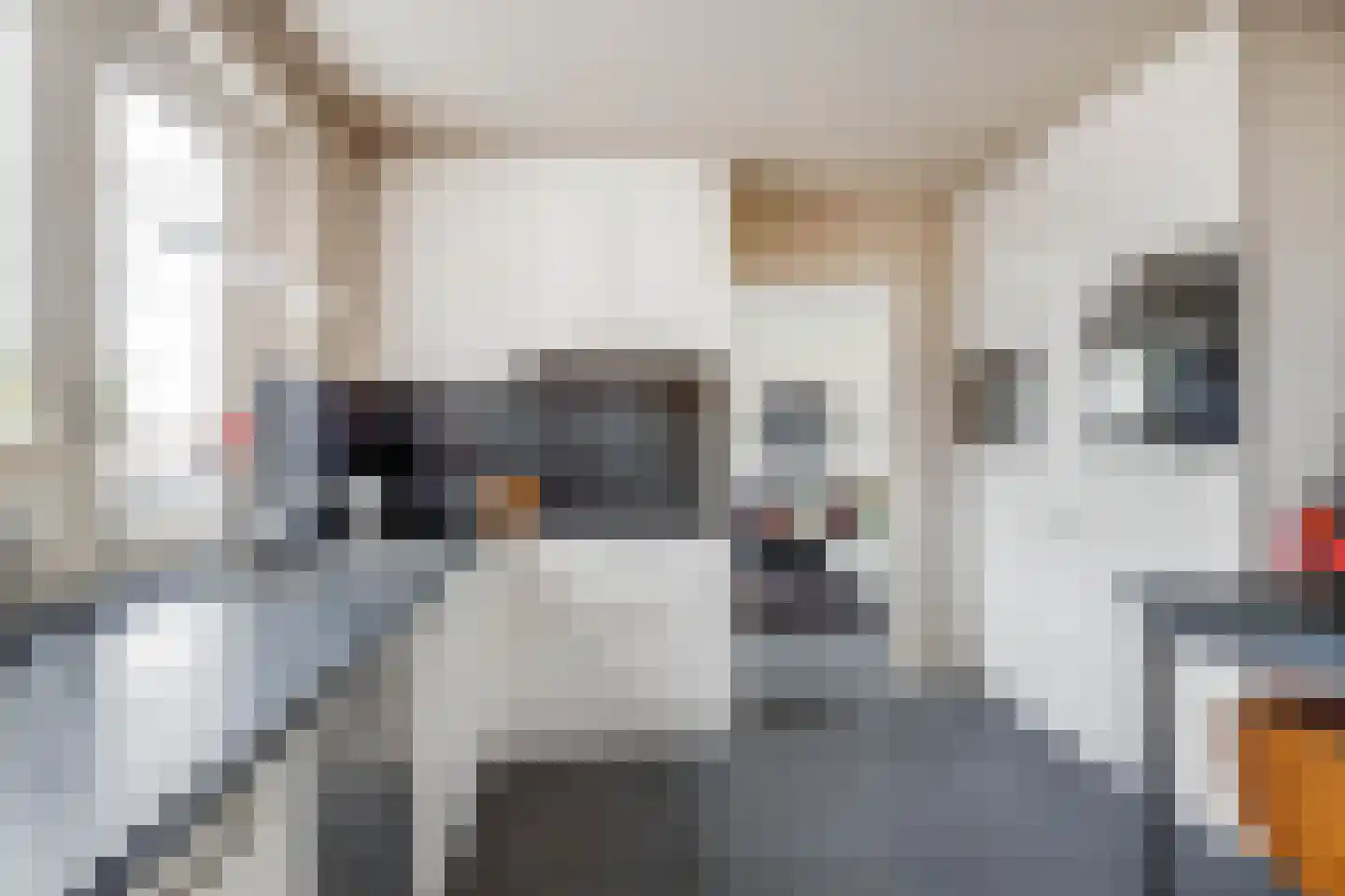 Aan de Linde 5 Nieuwstadt thumbnail 17