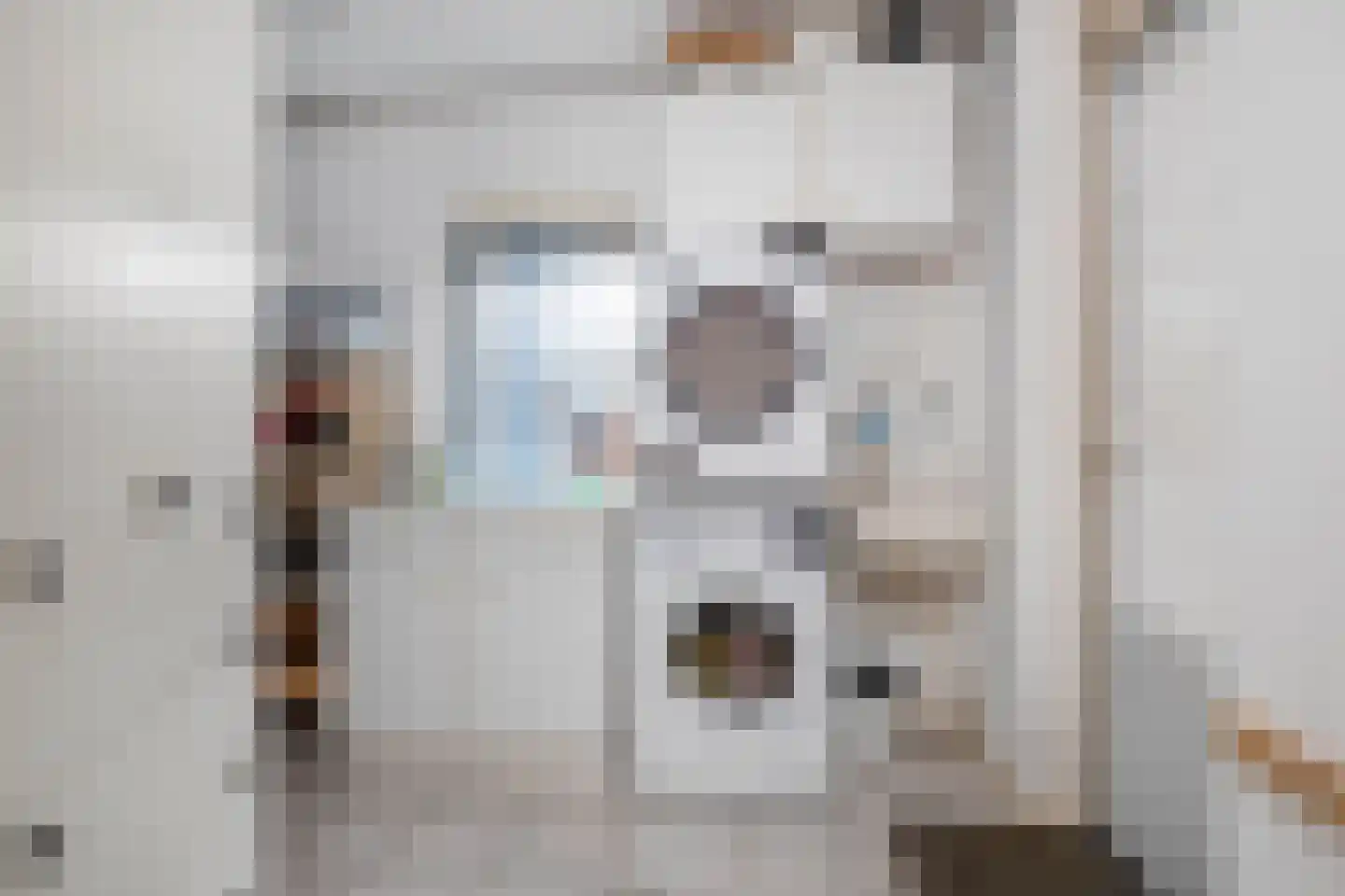 Aan de Linde 5 Nieuwstadt thumbnail 18