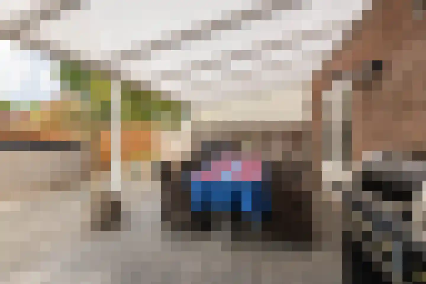 Aan de Linde 5 Nieuwstadt thumbnail 32