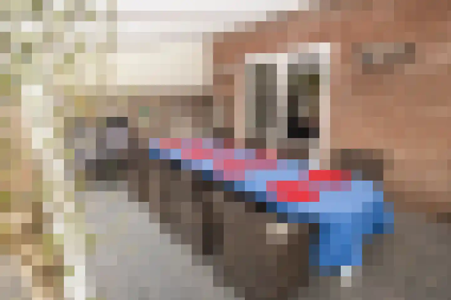Aan de Linde 5 Nieuwstadt thumbnail 34
