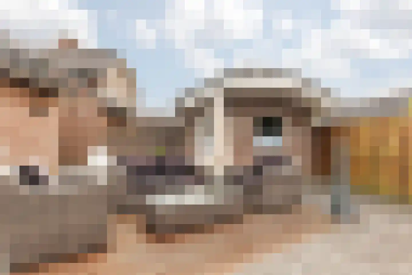 Aan de Linde 5 Nieuwstadt thumbnail 37