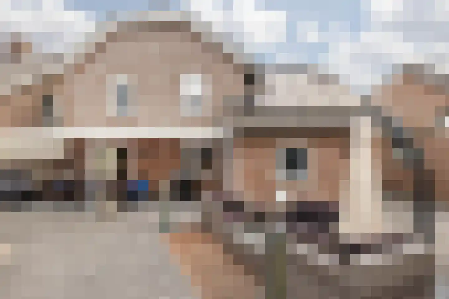 Aan de Linde 5 Nieuwstadt thumbnail 38