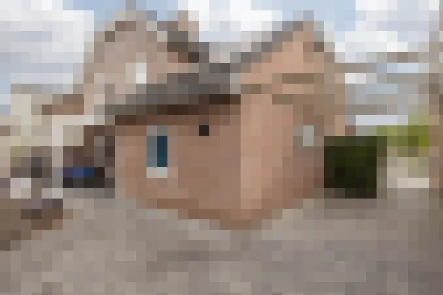 Aan de Linde 5 Nieuwstadt thumbnail 40