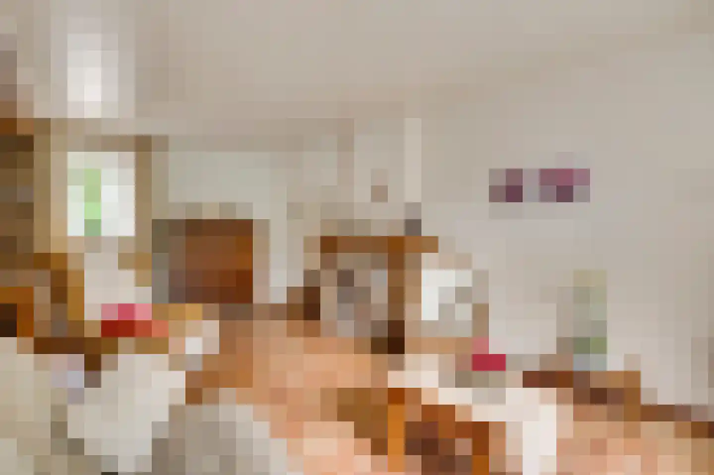Aan de Maas 10 Maastricht thumbnail 11