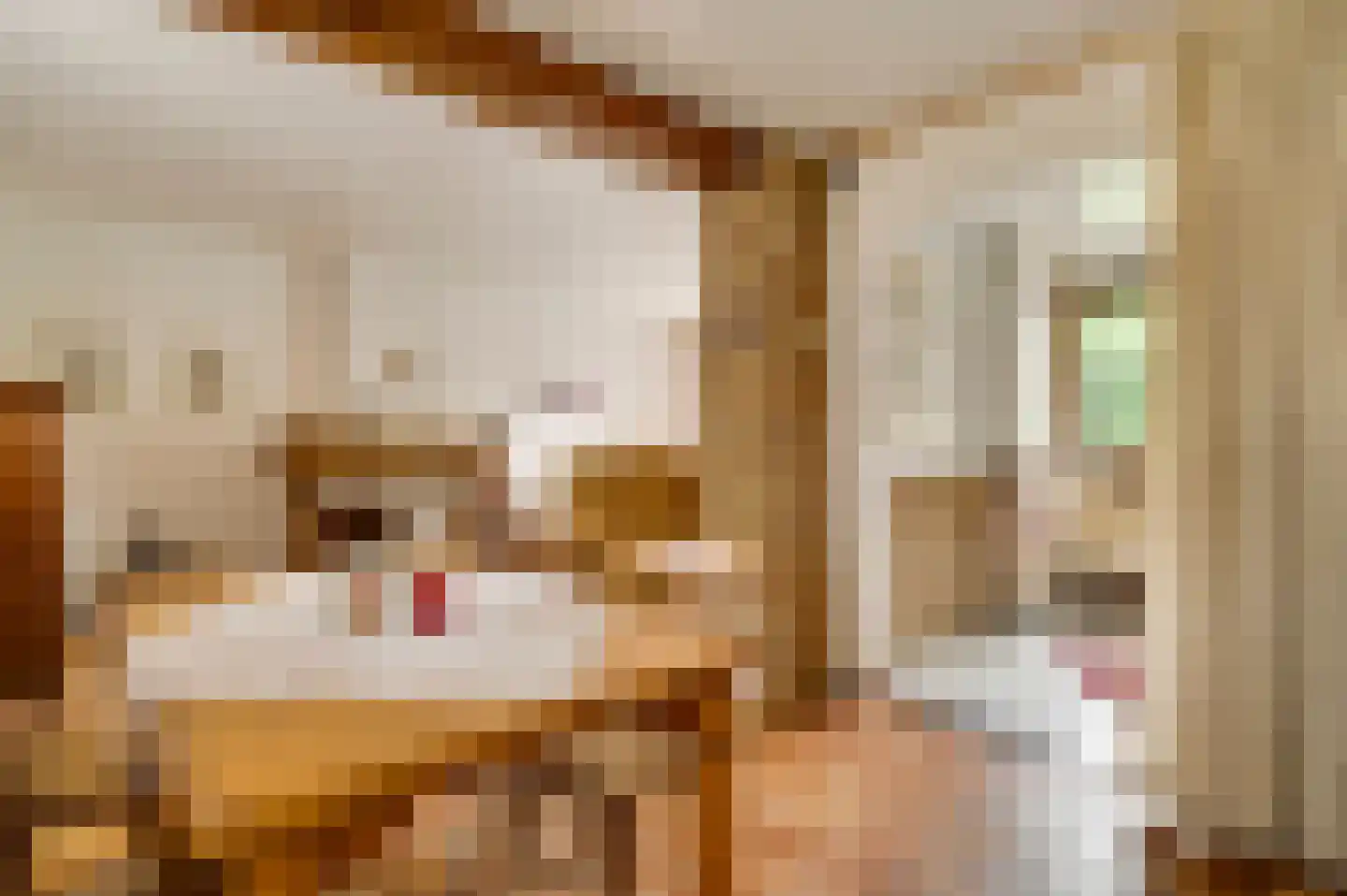 Aan de Maas 10 Maastricht thumbnail 12