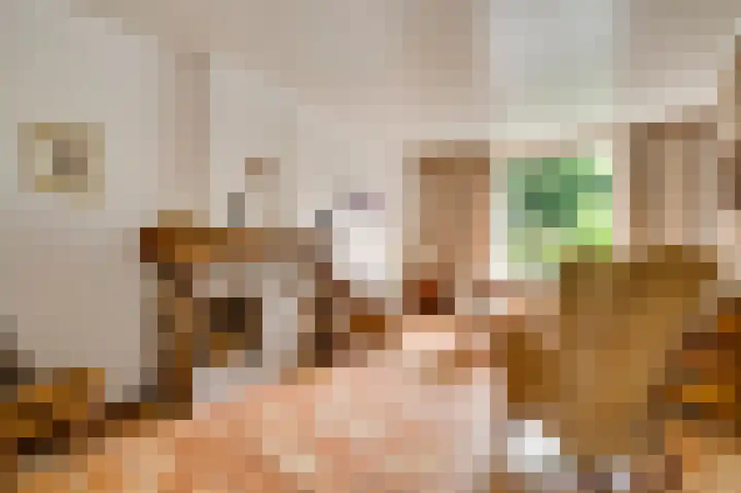 Aan de Maas 10 Maastricht thumbnail 13