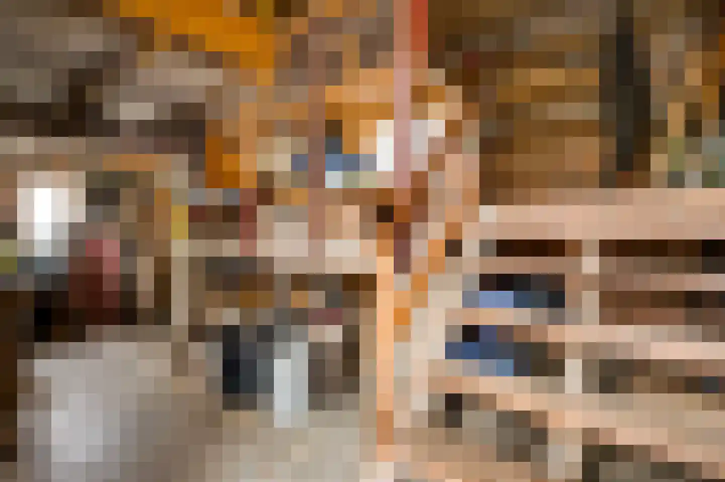 Aan de Maas 10 Maastricht thumbnail 26