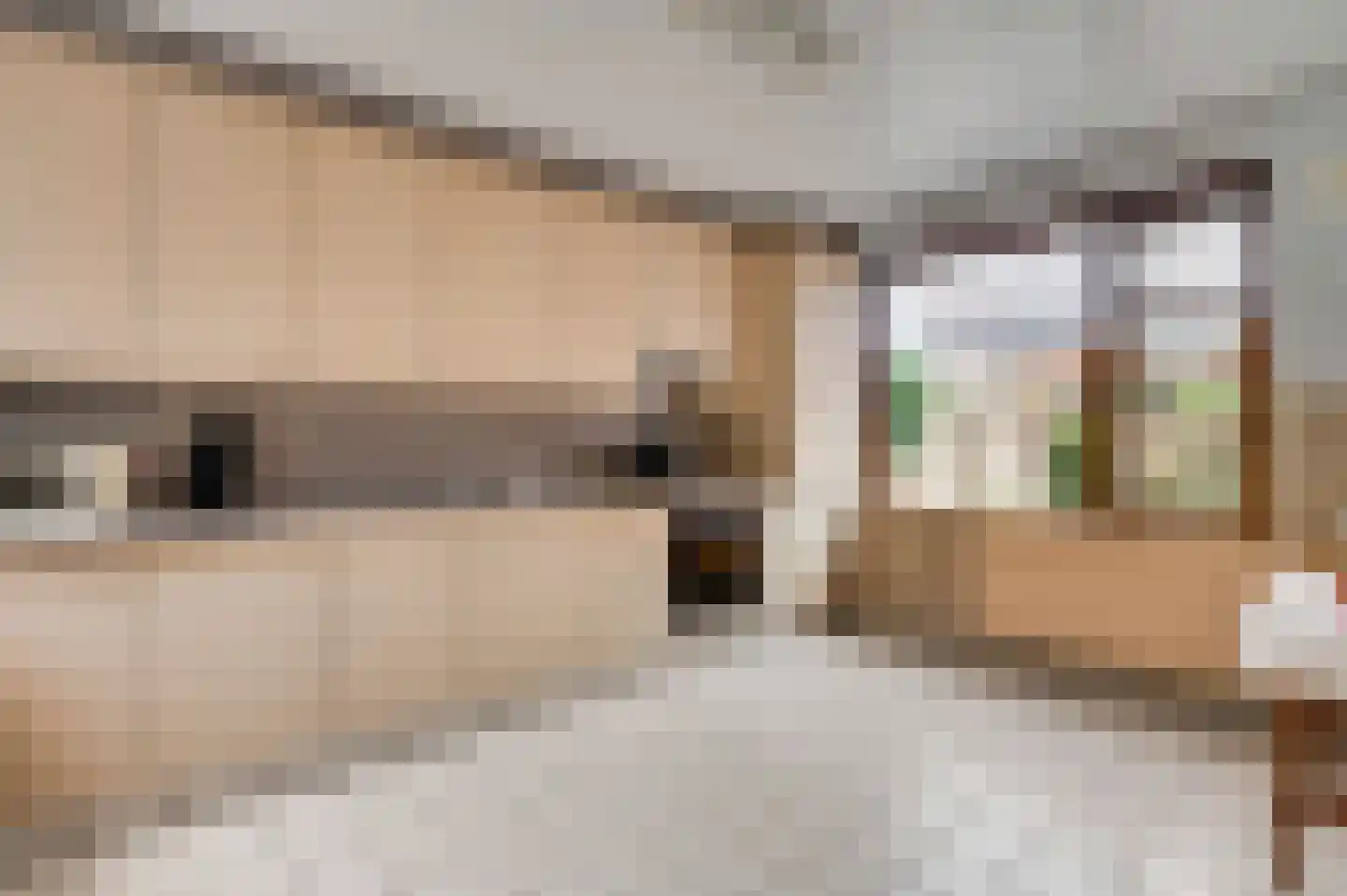 Aan de Maas 10 Maastricht thumbnail 6