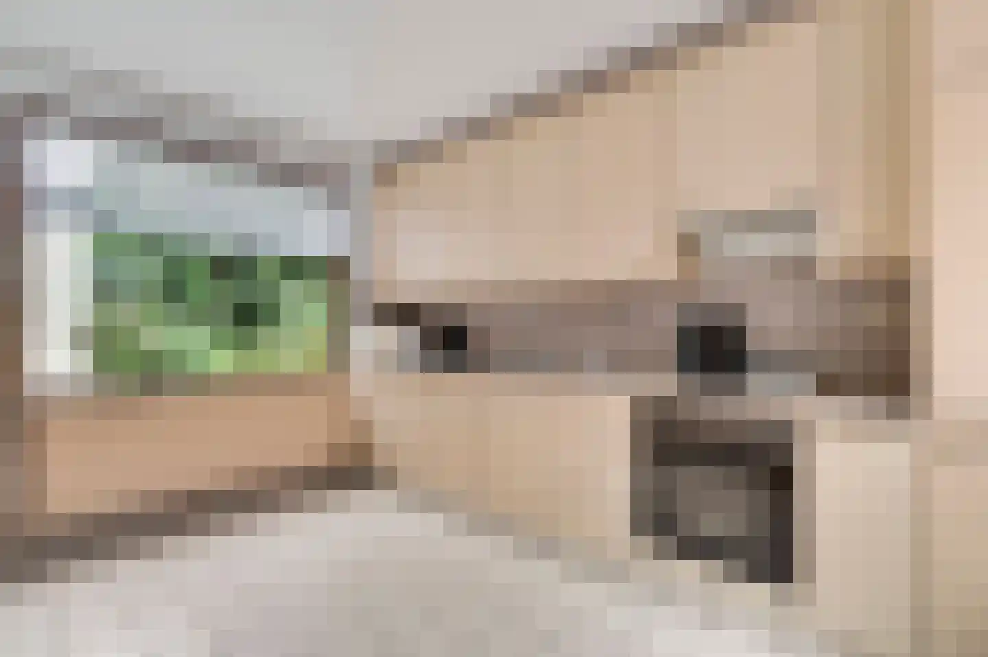 Aan de Maas 10 Maastricht thumbnail 7