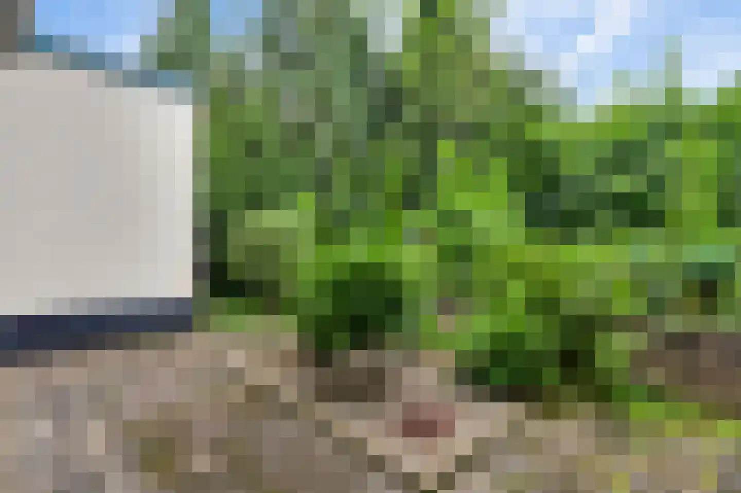 Aan de Maas 10 Maastricht thumbnail 8
