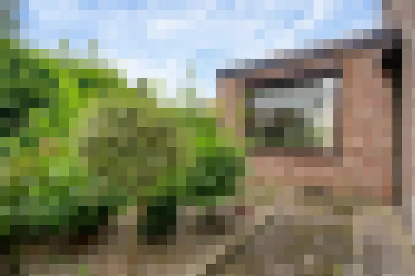 Aan de Maas 10 Maastricht thumbnail 9