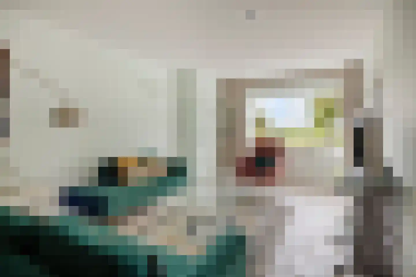 Aan de Maas 12 b Geulle thumbnail 10