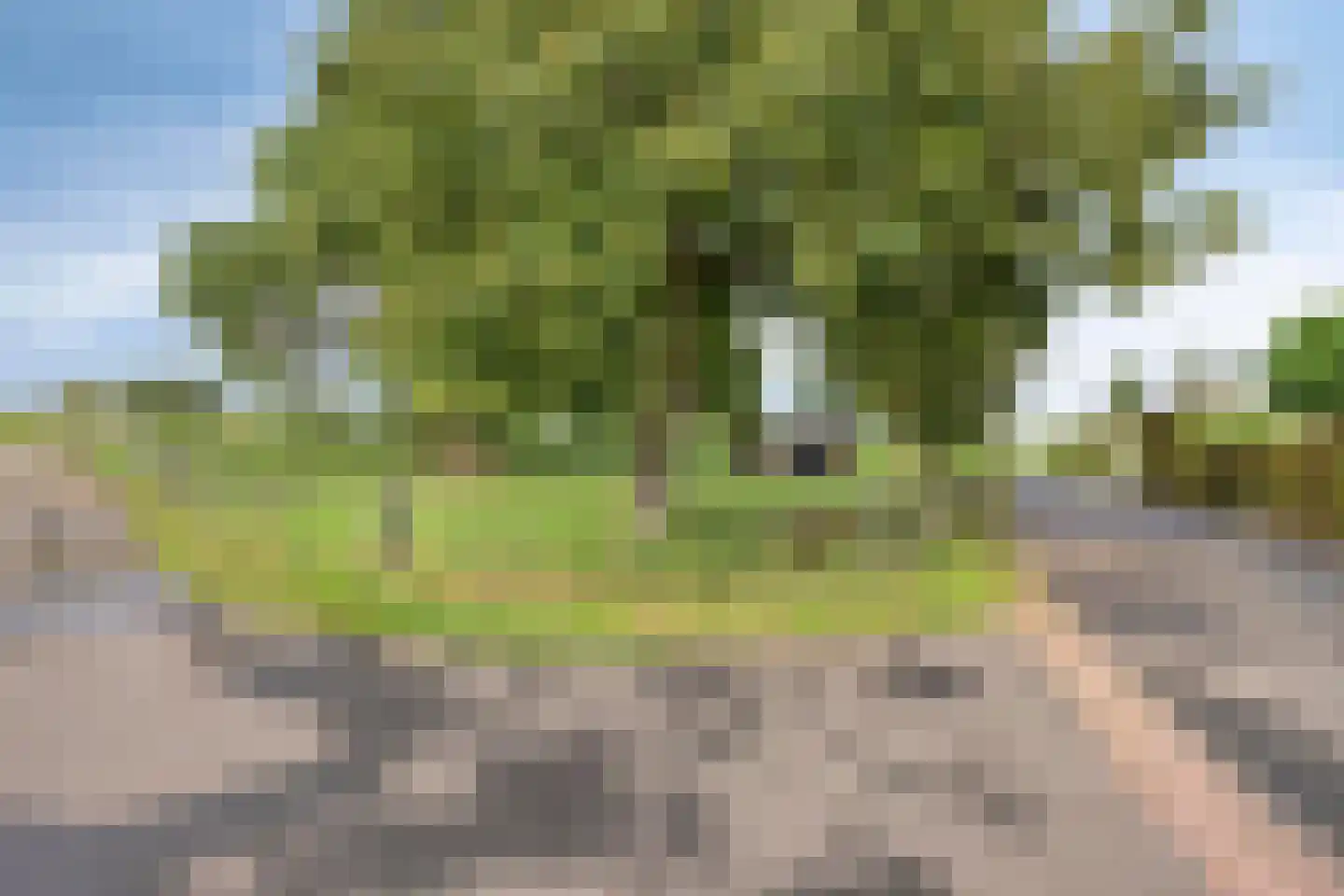 Aan de Maas 12 b Geulle thumbnail 32