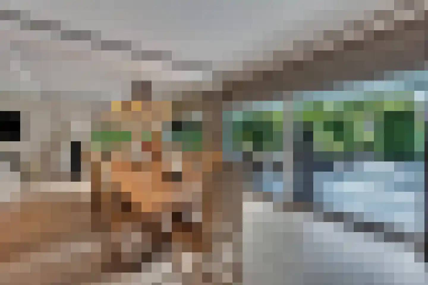 Aan de Maas 3620 Lanaken Maastricht thumbnail 13