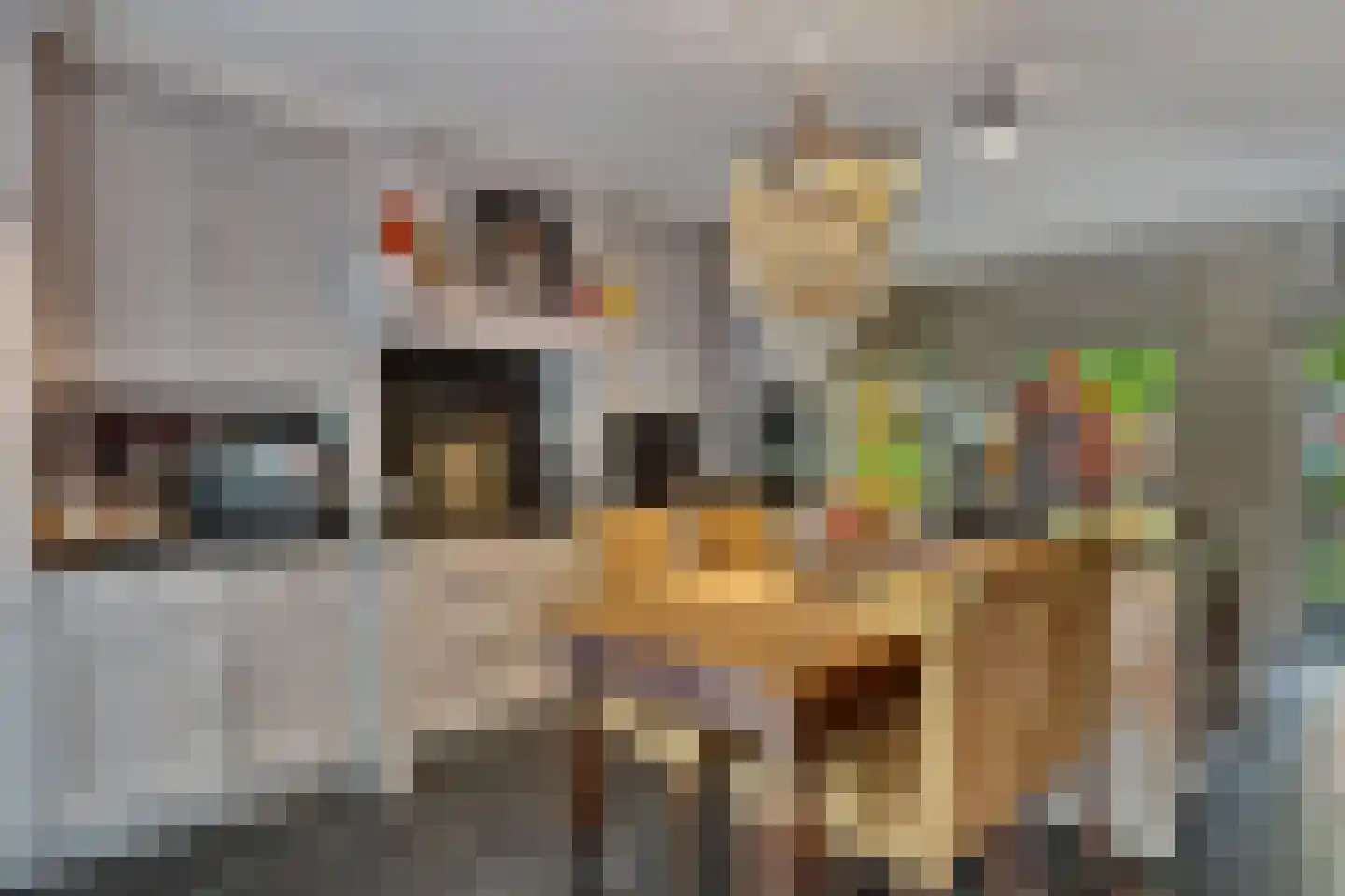 Aan de Maas 3620 Lanaken Maastricht thumbnail 15